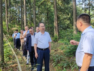 科技賦能，生態富民 福建省林業局領導赴福州、寧德調研林下經濟與電子產品銷售新模式