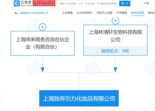 林清軒經(jīng)營公司拓展業(yè)務(wù)版圖，新設(shè)化妝品公司并布局電子商務(wù)與計(jì)算機(jī)軟硬件